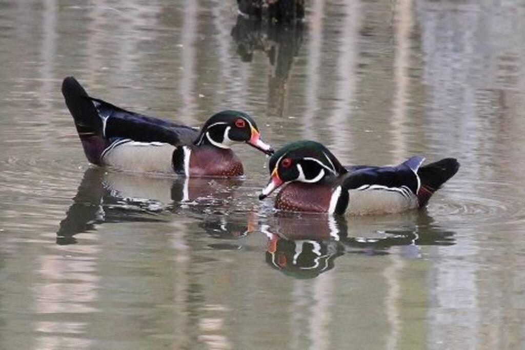 Private Guest On The Portage Lakes Akron